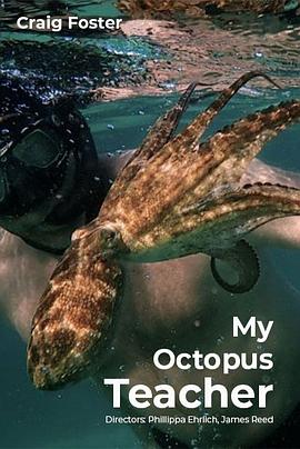 我的章鱼老师 My Octopus Teacher的海报