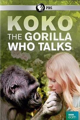 可可：能和人类说话的大猩猩 Koko: The Gorilla Who Talks to People的海报