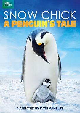 帝企鹅宝宝的生命轮回之旅 Snow Chick - A Penguin's Tale的海报