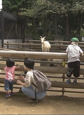 纪实72小时 川崎 山丘上的动物园 ドキュメント72時間：川崎 丘の上の動物公園的海报