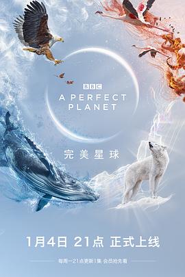 完美星球 A Perfect Planet的海报