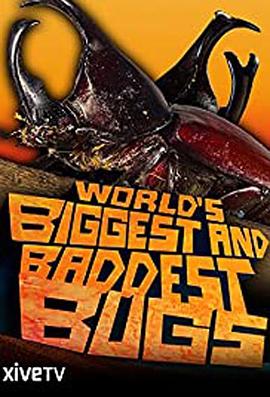 虫霸天下 World's Biggest and Baddest Bugs的海报