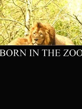 在动物园出生 Born in the zoo的海报