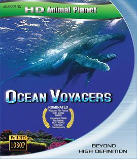 动物星球系列：鲸奇之旅 Ocean Voyagers的海报