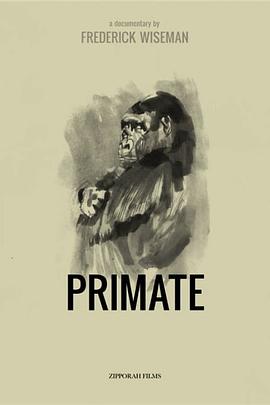 灵长类 Primate的海报