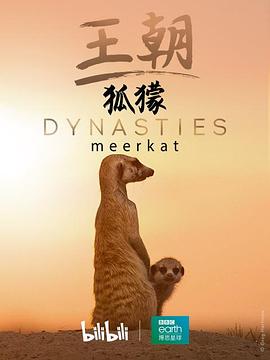 王朝：狐獴特辑 Dynasties: Meerkat Special的海报