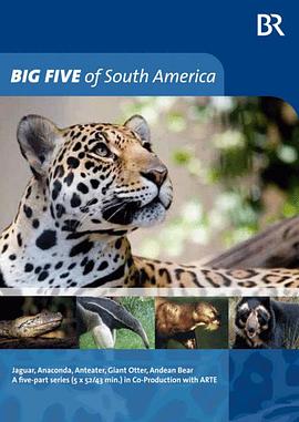 南美五猛兽 Big Five Südamerika的海报