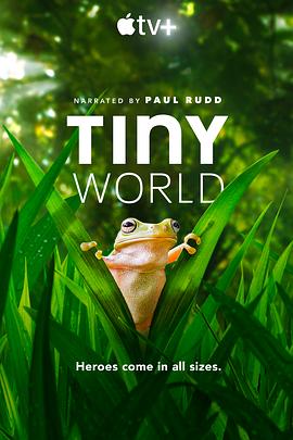 小小世界 第二季 Tiny World Season 2的海报