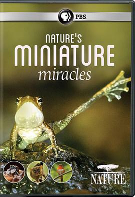 大自然：自然界的微型奇迹 Natural World:Nature's Miniature miracles的海报