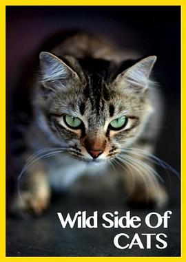 猫咪的狂野一面 Wild Side of Cats的海报
