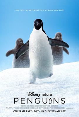 企鹅 Penguins的海报
