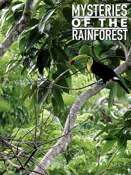 热带雨林的奥秘 Mysteries of the Rainforest的海报