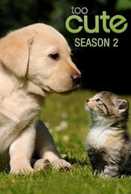 萌宠成长记 第二季 Too Cute! Season 2的海报