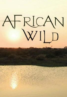 野性大地——非洲 African Wild的海报