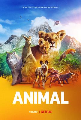 动物本色 第一季 Animal Season 1的海报