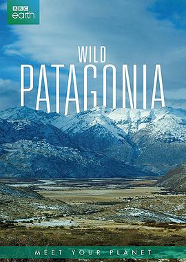 野性巴塔哥尼亚 Wild Patagonia的海报