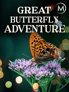 蝴蝶大冒险 The Great Butterfly Adventure: Africa to Britain with the Painted Lady的海报