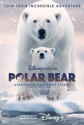 北极熊 Polar Bear的海报