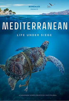 地中海 Mediterranean: Life Under Siege的海报