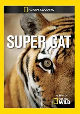 国家地理：超级大猫 super.cat的海报