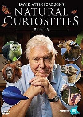 自然趣闻 第三季 Natural Curiosities Season 3的海报