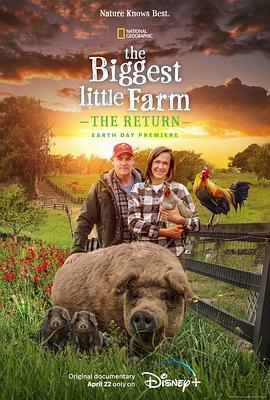 最大的小小农场：回归 The Biggest Little Farm: The Return的海报