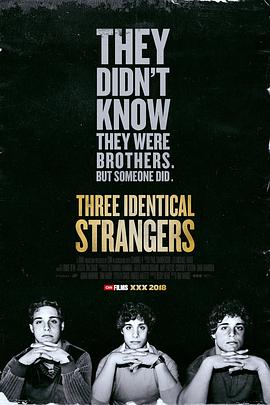孪生陌生人 Three Identical Strangers的海报