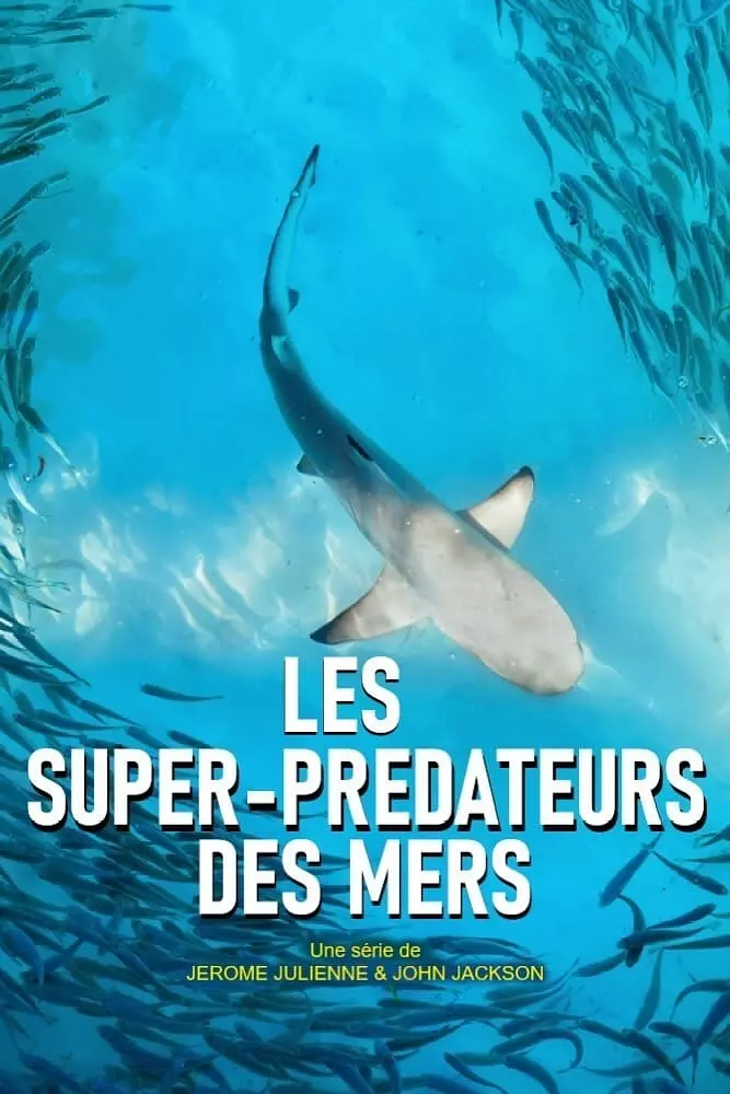 海洋天才小猎手 Genius Sea Hunters的海报