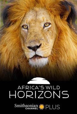 非洲狂野地平线 Africa's Wild Horizons的海报