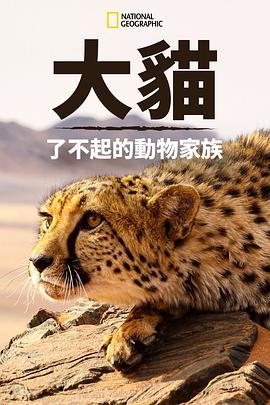 猫科动物：奇妙的动物家族 Big Cats: An Amazing Animal Family的海报