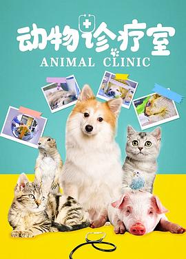 动物诊疗室的海报