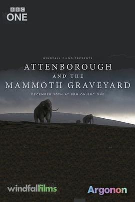 爱登堡与猛犸墓地 Attenborough and the Mammoth Graveyard的海报