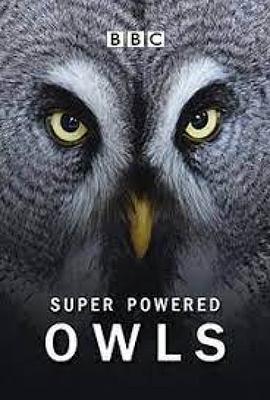 超能猫头鹰 Natural World: Super Powered Owls的海报