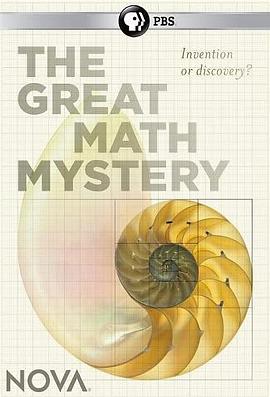 新星：数学大谜思 Nova:The Great Math Mystery的海报