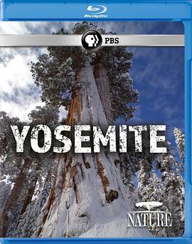 自然：约塞米蒂国家公园 Nature: Yosemite的海报