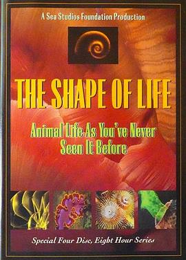 生命的形状 PBS:Shape of Life的海报