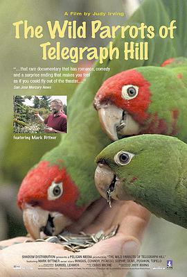 野鹦鹉 The Wild Parrots of Telegraph Hill的海报