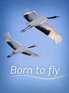 生而飞翔 Born to Fly的海报