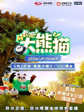 成长吧！大熊猫的海报