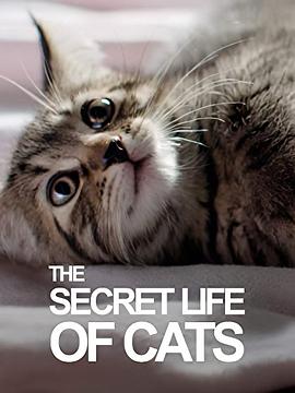 BBC地平线：猫的秘密生活 Horizon: The Secret Life of the Cat的海报