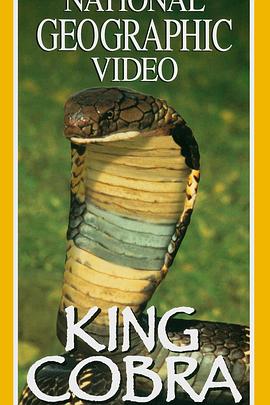国家地理：眼镜王蛇 National Geographic: King Cobra的海报