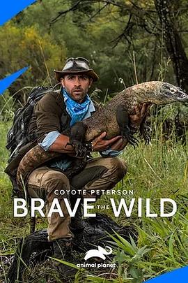 野地大胆王 Brave the Wild的海报