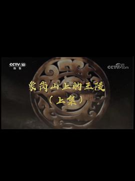 象岗山上的王陵的海报