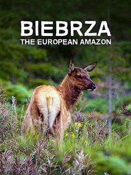 别布扎河：欧洲的亚马孙 Biebrza: The European Amazon的海报