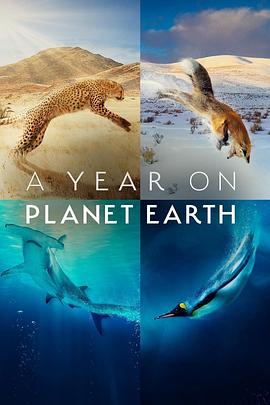 地球上的一年 A Year on Planet Earth的海报