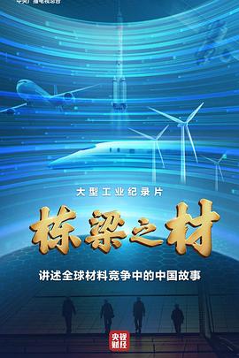 栋梁之材的海报