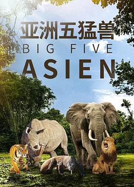亚洲五猛兽的海报