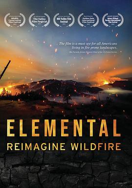 美国大火 Elemental: Reimagine Wildfire的海报