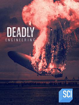 工程浩劫 第一季 Disasters Engineered Season 1的海报