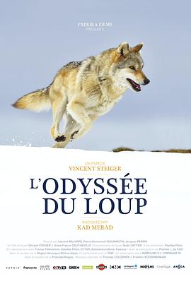 狼之旅 L’Odyssée du Loup的海报